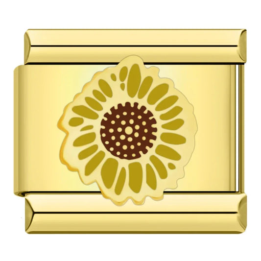 49507395109145